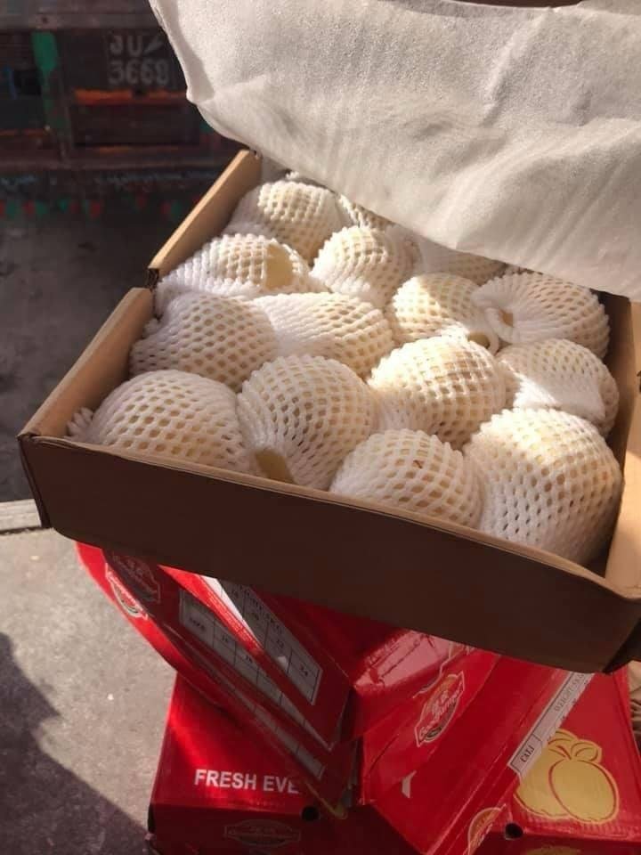 Pears transported by HFK Enterprises