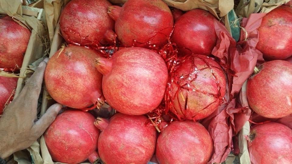 Pomegranates transported by HFK Enterprises