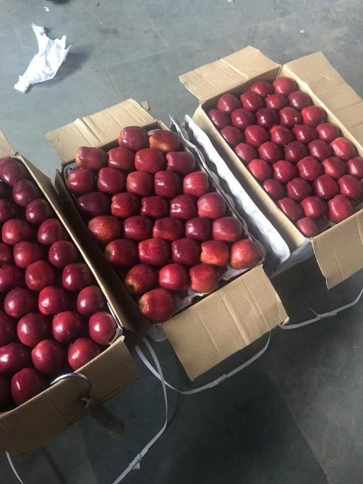 Open cartons of red apples