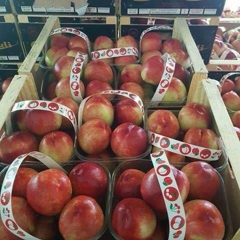Stone fruit transported by HFK Enterprises