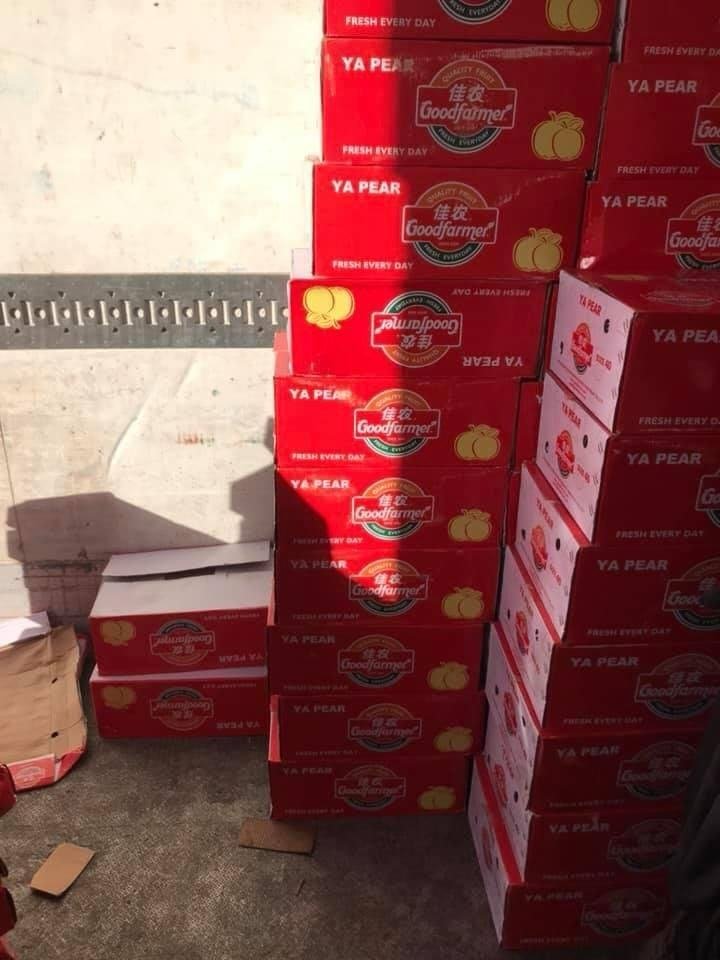 Branded fruit cartons stacked and staged for loading