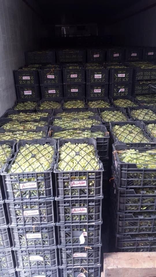 Stacked crates of produce inside a cold storage trailer