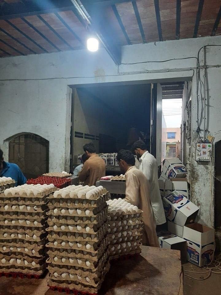 Eggs transported by HFK Enterprises