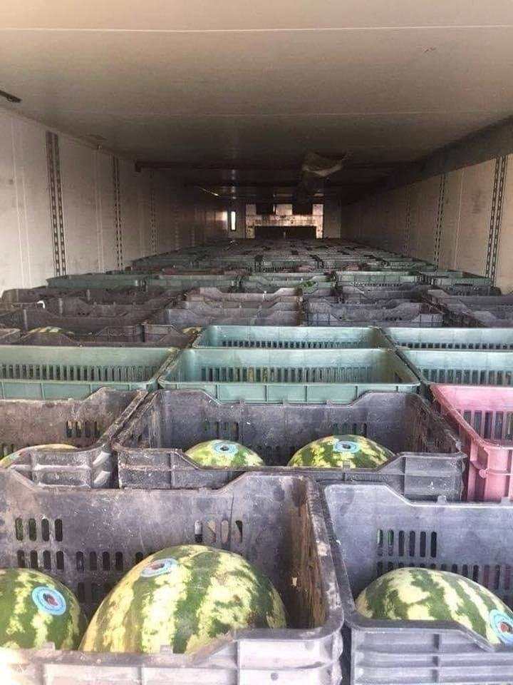 Watermelons transported by HFK Enterprises